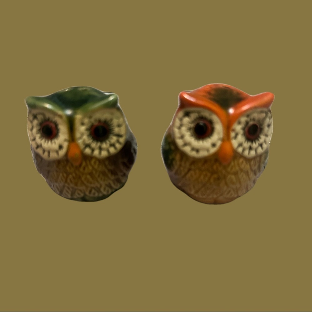 Salt & PepperOwl Figurine Set - Green and Orange